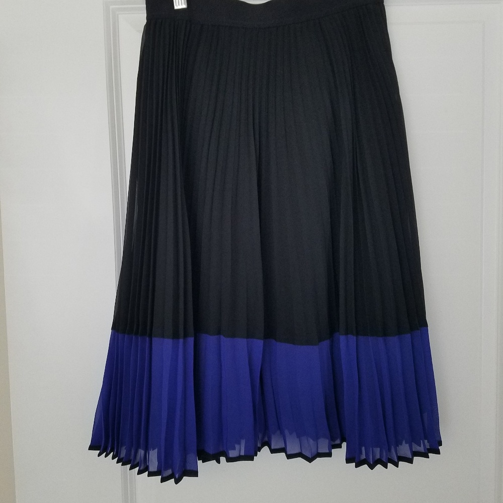 Ann Taylor Pleated Skirt